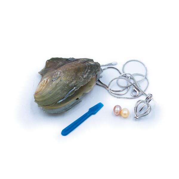 Hidden Gems Enchanted Pearl - Image 11