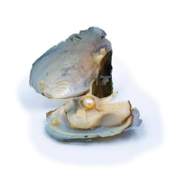 Hidden Gems Enchanted Pearl - Image 15