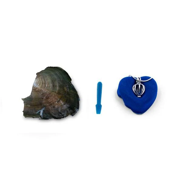 Hidden Gems Enchanted Pearl - Image 16