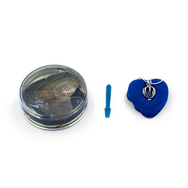 Hidden Gems Enchanted Pearl - Image 17